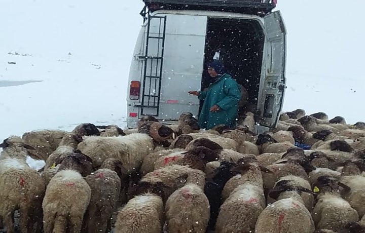 رحال يواجه الموت وسط الثلوج نواحي أملاكو لولا تدخل السلطة المحلية