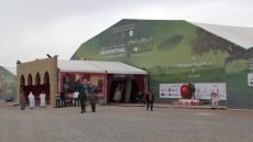 الملتقى الوطني للتفاح بميدلت.. فرصة لخلق فرص شغل موسمية للشباب والنساء