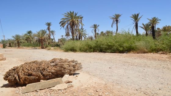 خطارات الجنوب الشرقي.. شرايين الحياة تتحول إلى فخاخ مميتة