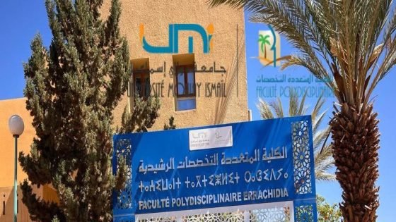 كتاب جماعي حول العلاج بالموسيقى وأسئلة الفن والمجتمع.. مشروع جديد بالرشيدية