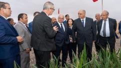 المعرض الدولي للتمور بأرفود: وزير الفلاحة يعطي انطلاقة فعاليات الدورة الرابعة عشر